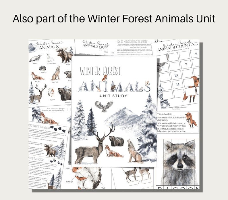 BADGER Anatomy, Poster and Labeling Activity, Homeschool, Instant DOWNLOAD - Image 2