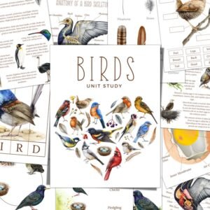Bird Unit Study: Anatomy, Life Cycle, Homeschool Printable (Instant Download)