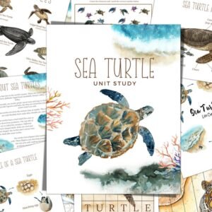 Sea Turtle Unit Study: Homeschool Science Printable (Instant Download)