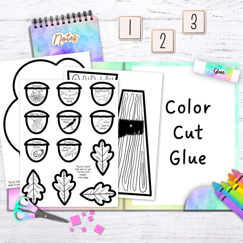 Connecticut State Symbols, Oak Tree, Kids Printable Craft Template, Homeschool, Teachers Resources, Instant PDF Download - Image 3