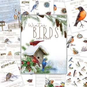 WINTER BIRDS Unit Study, Nature Study, Science,  Handwriting, Homeschool Printable, Montessori, Instant Download