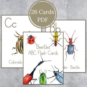 BEETLES alphabet flashcards. Watercolor letter cards. Kids printable. Instant DOWNLOAD