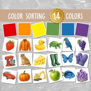 Montessori Color Sorting Matching Game, 14-Color Recognition Printable, Toddler Learning Activity, Preschool Educational Download