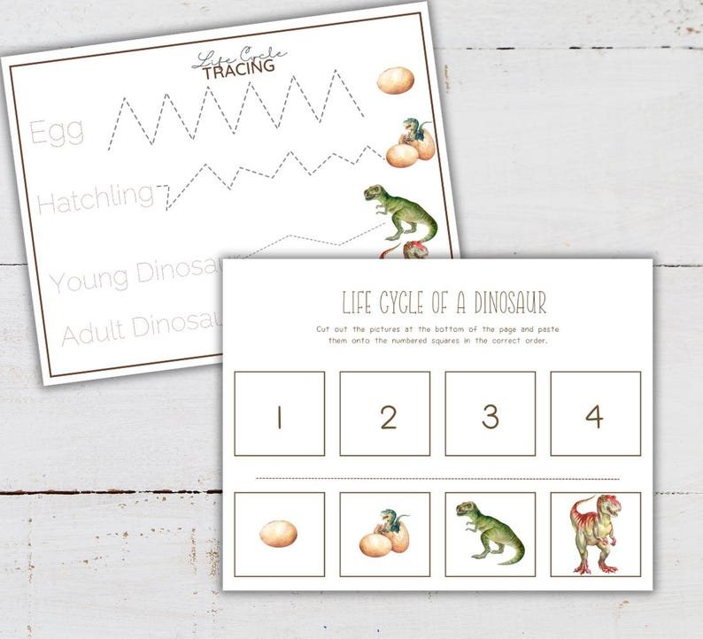 DINOSAUR Life Cycle, Nature Study, Homeschool Printable, Instant Download - Image 3