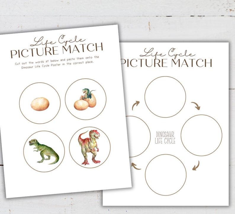 DINOSAUR Life Cycle, Nature Study, Homeschool Printable, Instant Download - Image 4