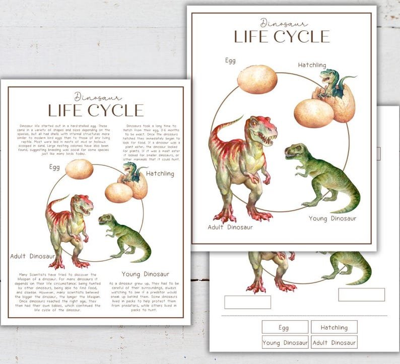 DINOSAUR Life Cycle, Nature Study, Homeschool Printable, Instant Download - Image 2