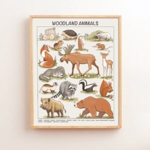 Woodland Animals Educational Posters Montessori Nursery Downloadable Prints Preschool Homeschool Printable Kids Children Learning Decor