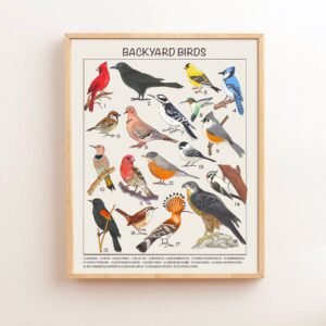 Backyard Birds Educational Posters, Montessori Nursery Downloadable Prints Preschool Homeschool Printable Kids Children Learning Decor