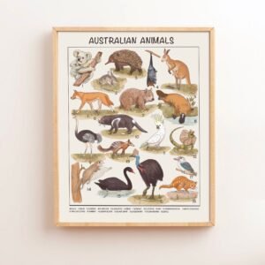 Australian Animals Educational Posters, Printable Montessori Materials, Preschool Homeschool Classroom Prints