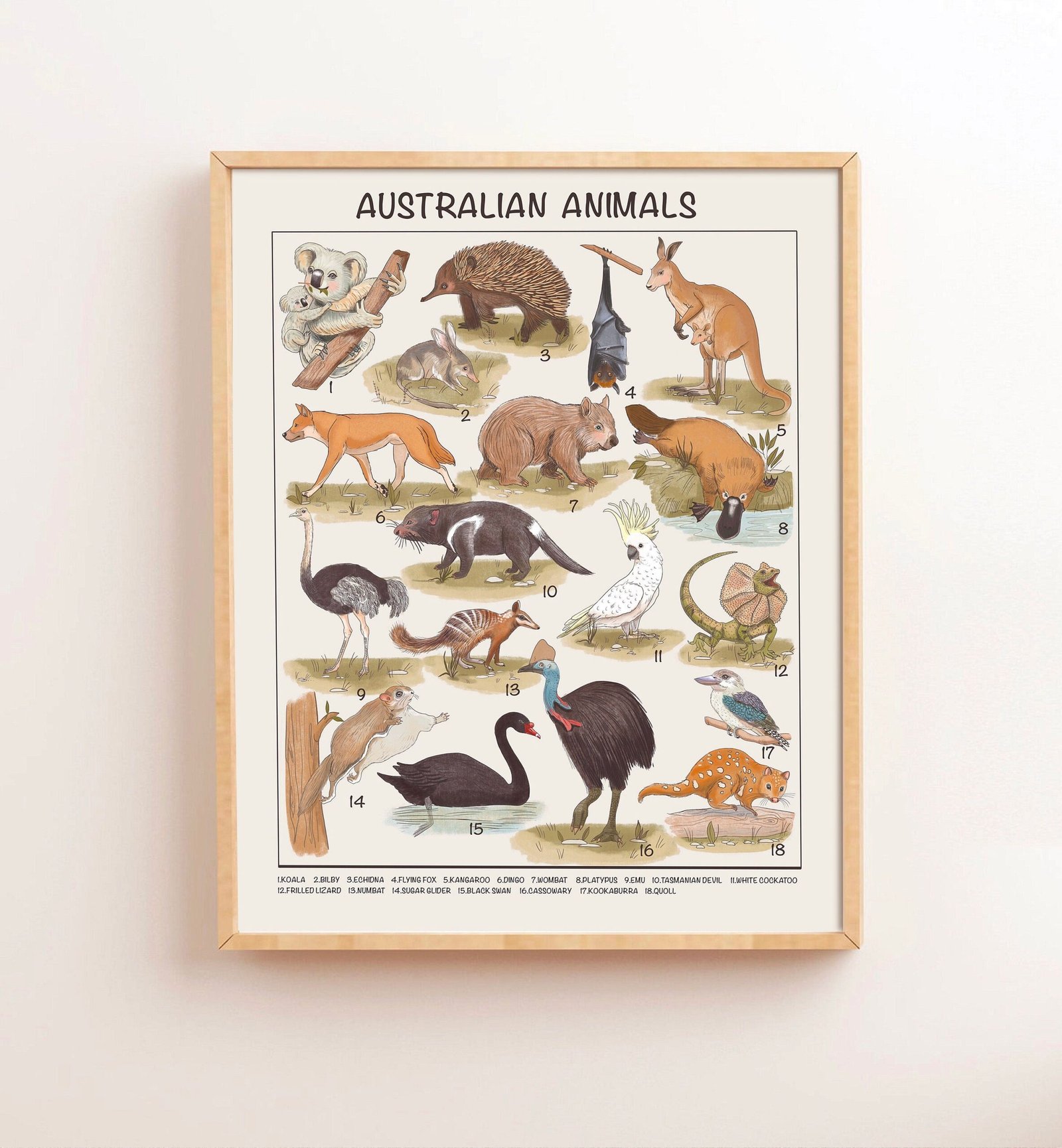 Australian Animals Educational Posters, Printable Montessori Materials, Preschool Homeschool Classroom Prints