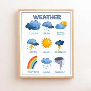 Weather Educational Posters Homeschool Montessori Downloadable Prints Preschool Classrooms Posters Kindergarten Nursery Playroom Learning