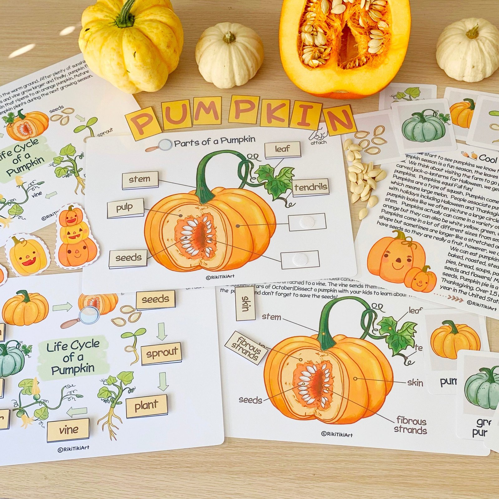 Pumpkin Unit Study Homeschool Learning Materials Charlotte Mason Educational Activities for Preschool Fall Autumn Classroom Decor - Image 3