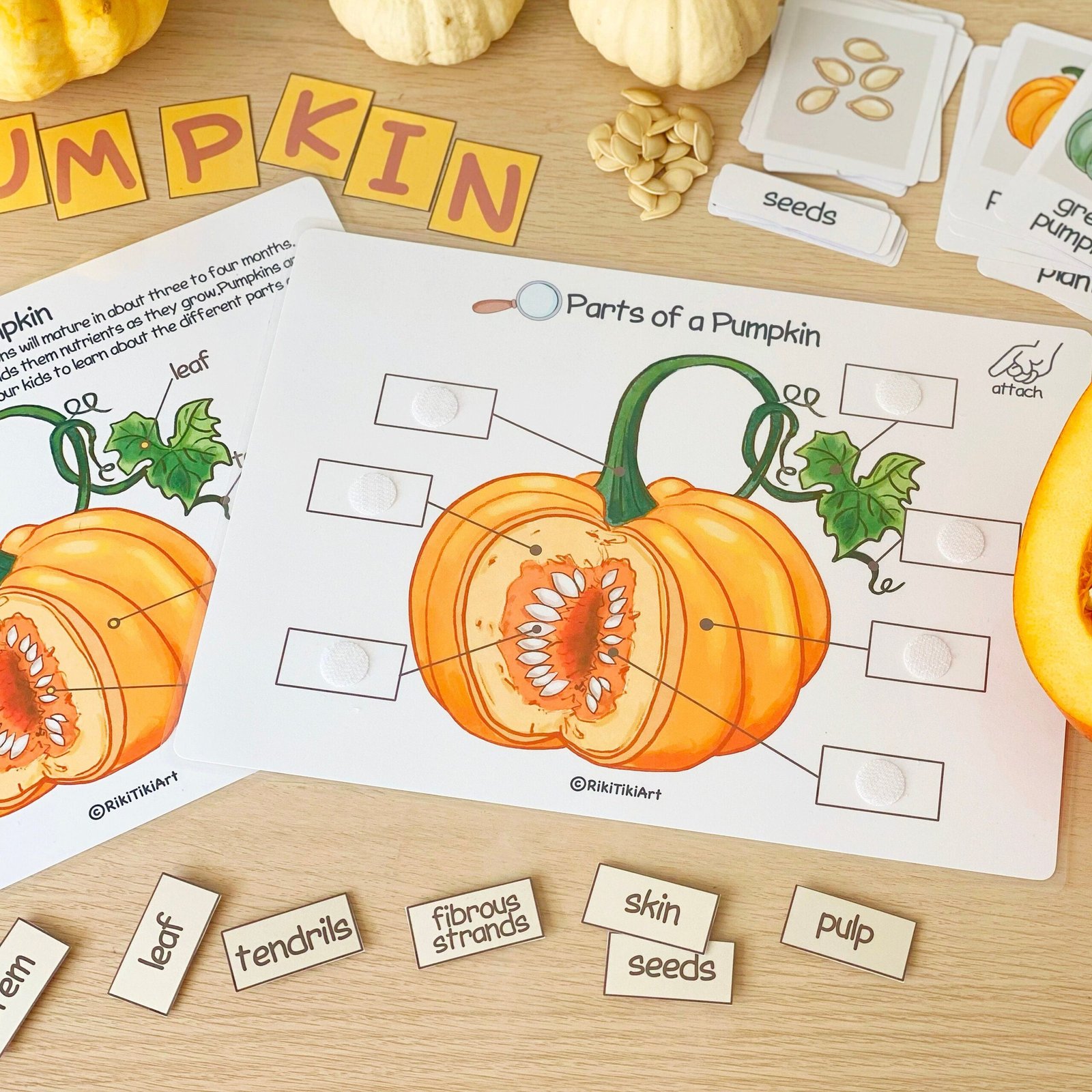 Pumpkin Unit Study Homeschool Learning Materials Charlotte Mason Educational Activities for Preschool Fall Autumn Classroom Decor - Image 5