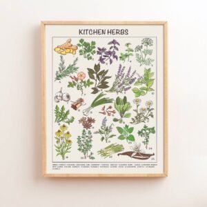 Kitchen Herbs Downloadable Prints, Homeschool Educational Prints, Printable Montessori Materials