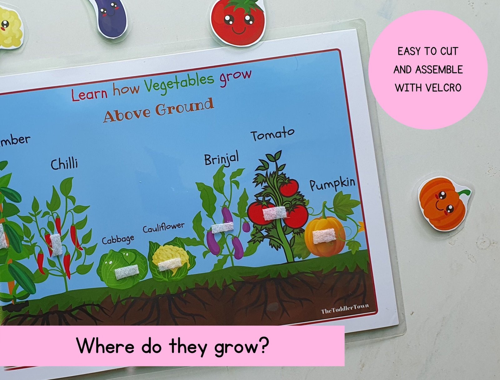 Toddler Busy Book activity, Busy Binder, Preschool curriculum, Plants activity, where do vegetables grow, preschool spring activity - Image 4
