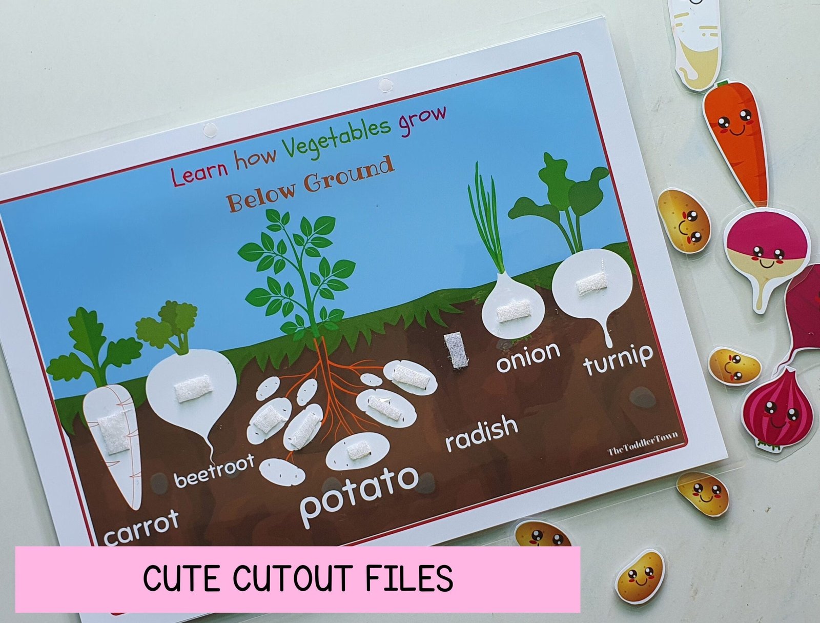 Toddler Busy Book activity, Busy Binder, Preschool curriculum, Plants activity, where do vegetables grow, preschool spring activity - Image 5