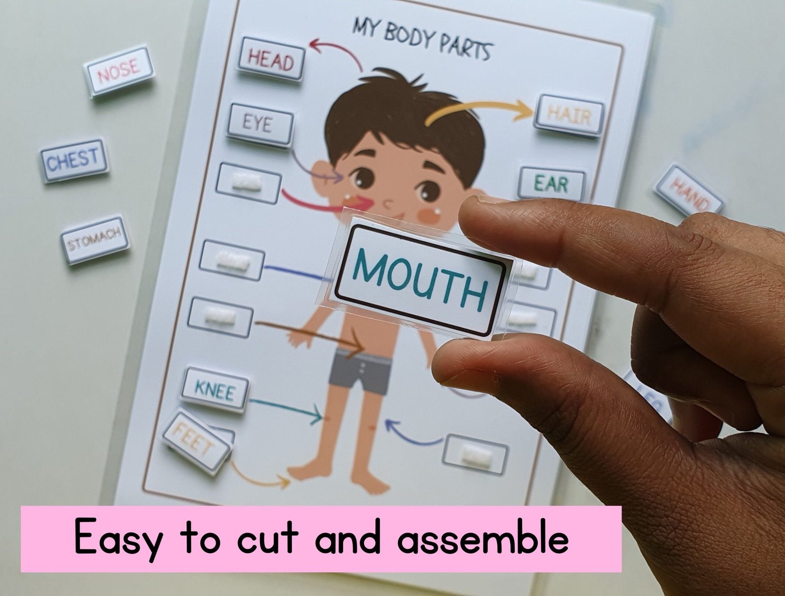 Busy binder activity|Body parts|homeschool curriculum|Preschool Worksheet|Busy Book Ideas|2 year old|file folder game - Image 5