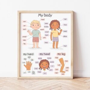 Body Parts Poster Montessori Homeschool Educational Posters for Toddlers Human Body Downloadable Prints Preschool Kids Anatomy Poster