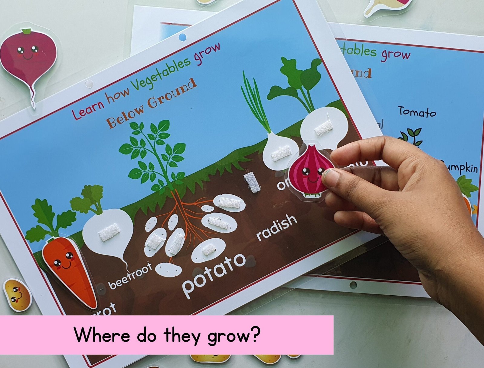 Toddler Busy Book activity, Busy Binder, Preschool curriculum, Plants activity, where do vegetables grow, preschool spring activity - Image 3