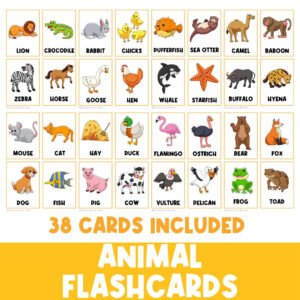 Animals Flashcards | Animal Identification | Farm | Ocean | Zoo | Kindergarten Activities | Preschool Busy Book | Montessori Printable