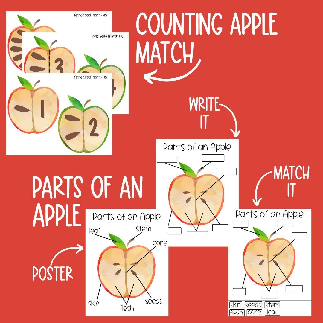 Apple Unit Study, Preschool Curriculum, Preschool Printable, Preschool Learning, Preschool Education, Montessori Materials, Homeschool - Image 4