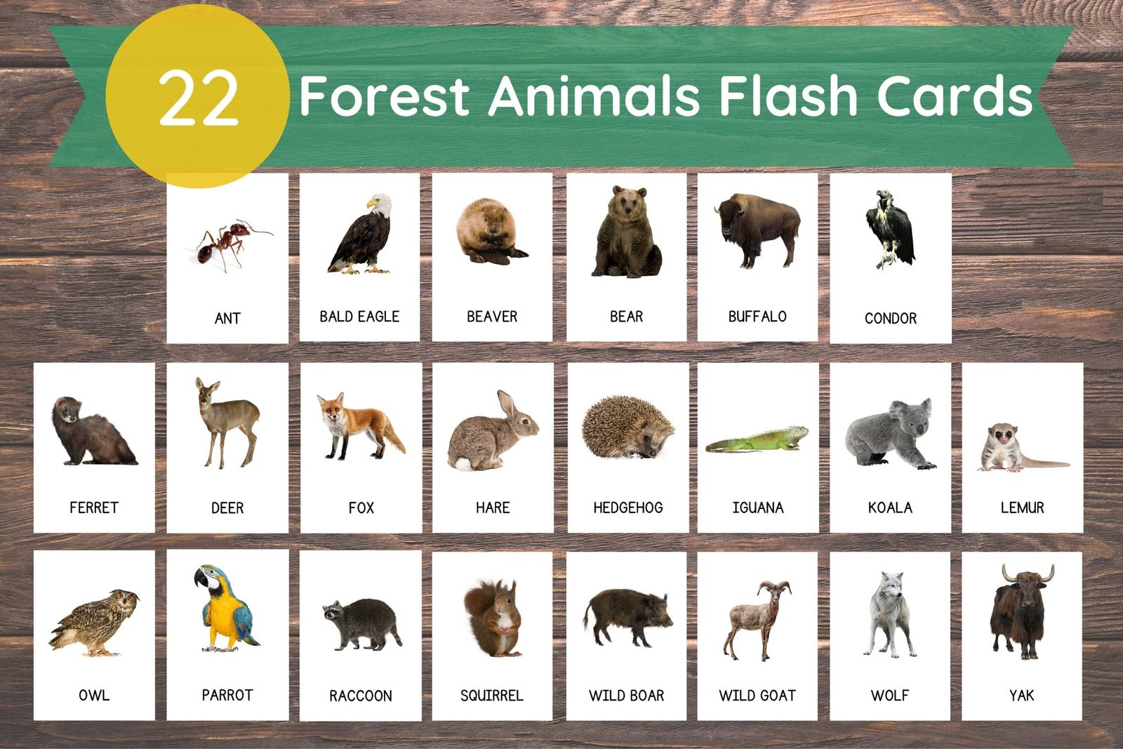 22 Forest Animals Cards, Forest Animals Cards for Toddlers, Montessori Flash Cards, Real Pictures Cards, Printable Flash Cards For Kids - Image 2