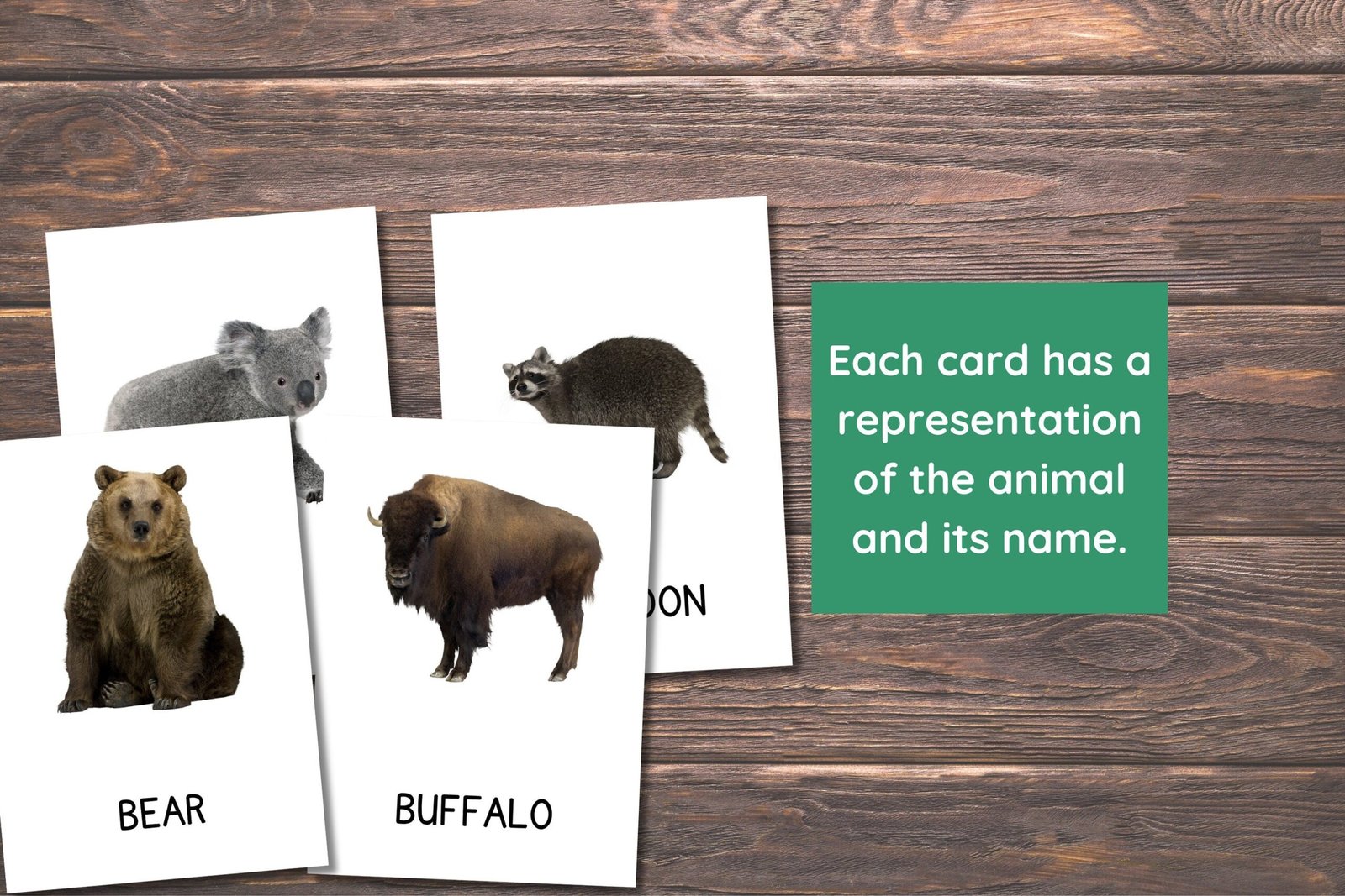 22 Forest Animals Cards, Forest Animals Cards for Toddlers, Montessori Flash Cards, Real Pictures Cards, Printable Flash Cards For Kids - Image 3