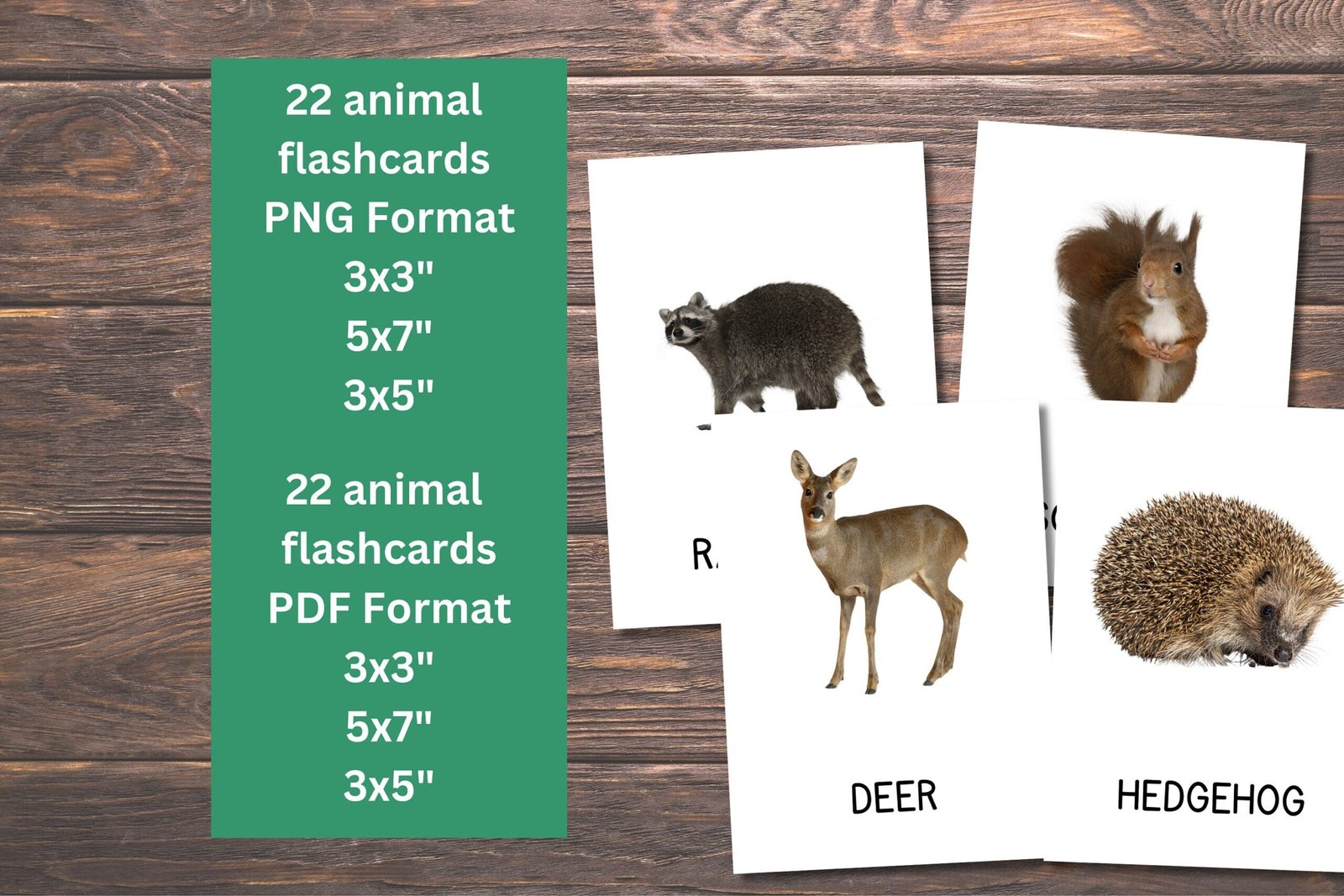 22 Forest Animals Cards, Forest Animals Cards for Toddlers, Montessori Flash Cards, Real Pictures Cards, Printable Flash Cards For Kids - Image 4