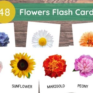 48 Flowers Cards, Flowers Flashcards, Printable Real Pictures Flashcards, Montessori Flashcards, Botanical Flashcards, Instant Download