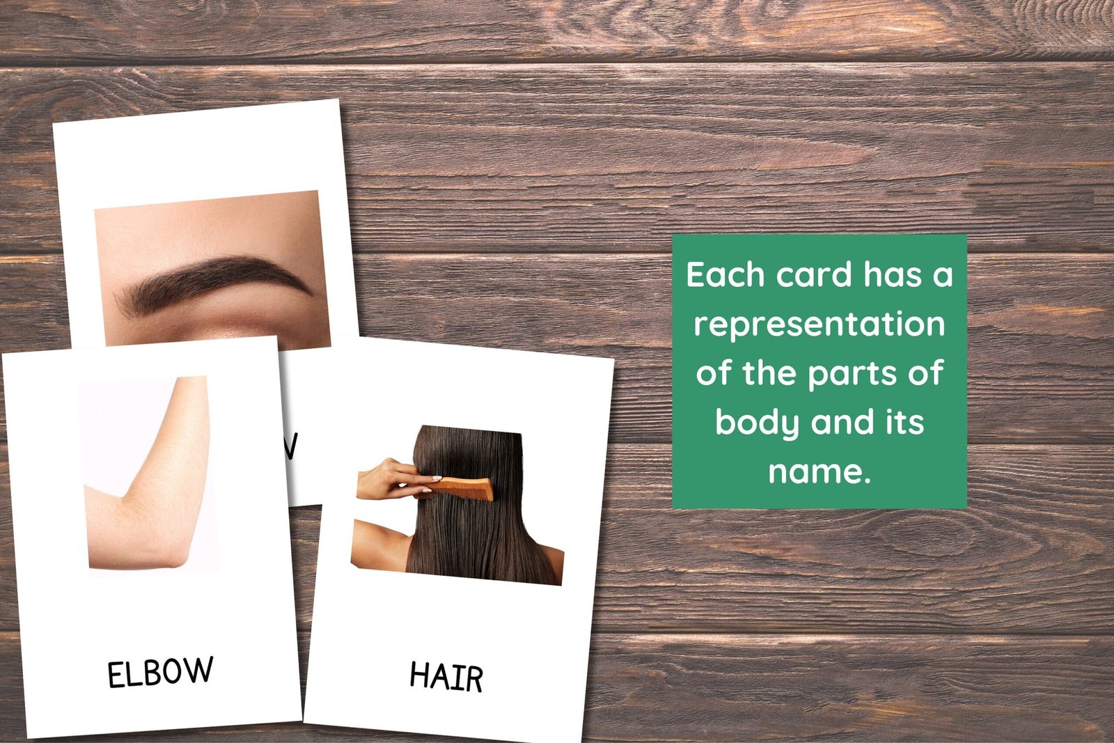 22 Body Parts Cards, Montessori flashcards, Pre-School Cards, Toddler Flash Cards, Body Parts Flashcards, Homeschool Montessori Materials - Image 5