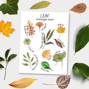 Printable Leaf Scavenger Hunt Homeschool Learning Materials Nature Study Toddler Kids Activities