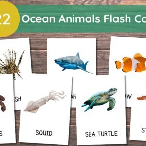 22 Ocean Animals Cards, Ocean Animals Cards for Toddlers, Montessori Flash Cards, Real Pictures Cards, Printable Flash Cards For Kids