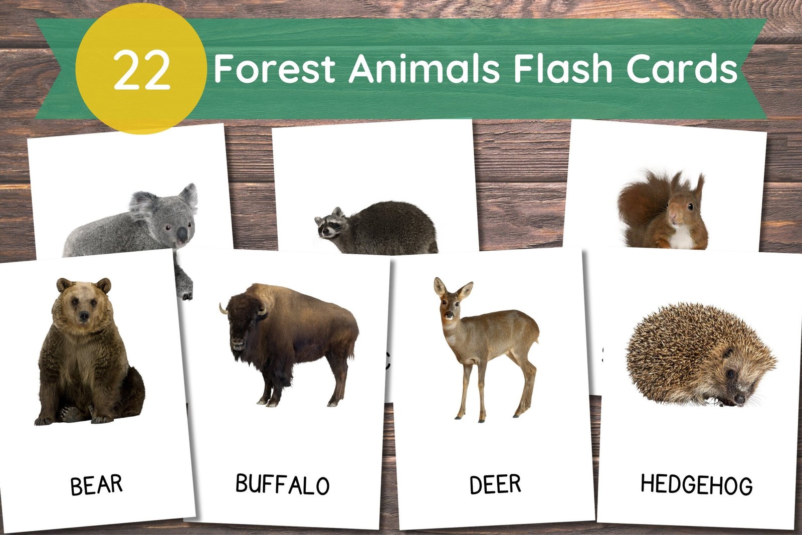 22 Forest Animals Cards, Forest Animals Cards for Toddlers, Montessori Flash Cards, Real Pictures Cards, Printable Flash Cards For Kids