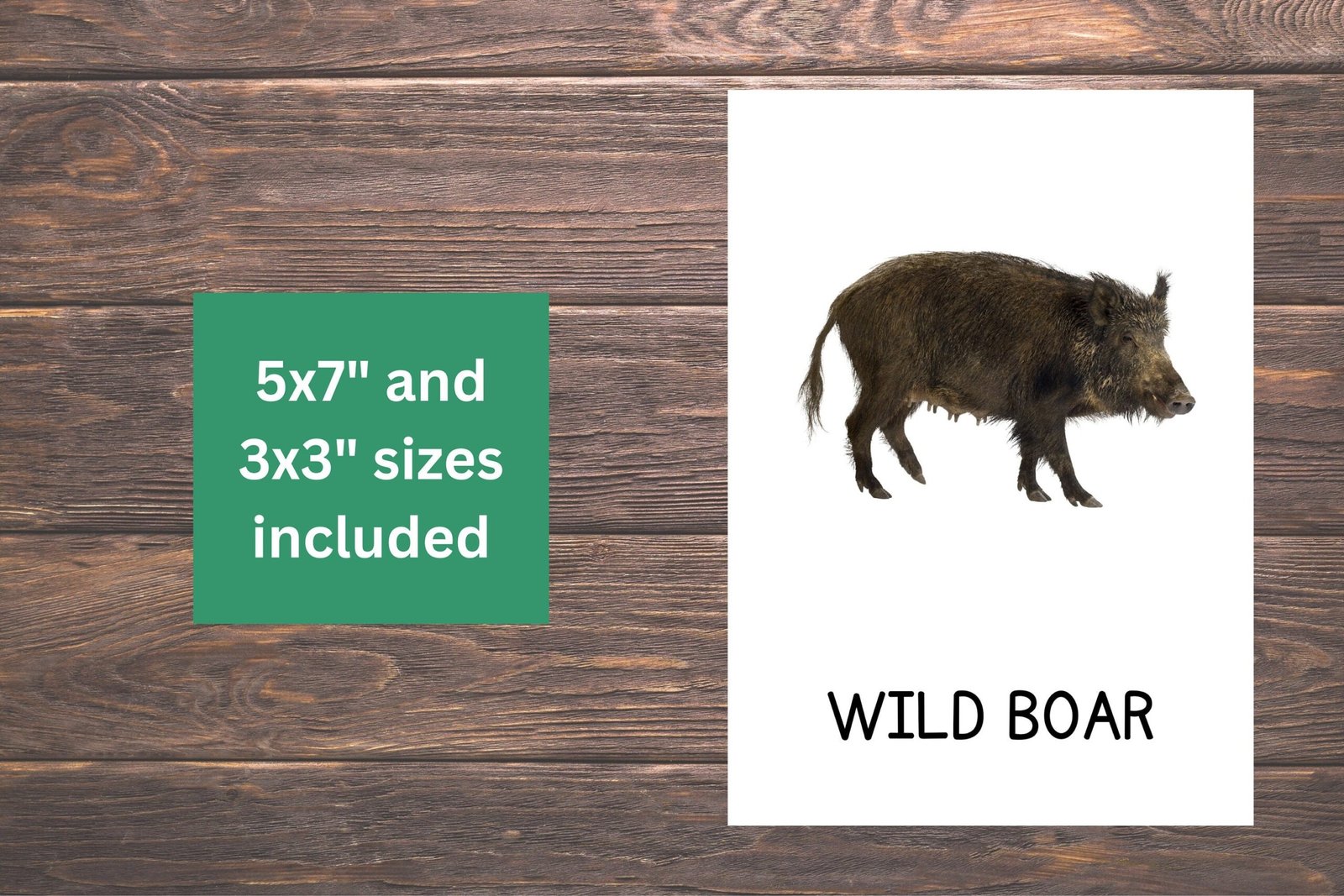 22 Forest Animals Cards, Forest Animals Cards for Toddlers, Montessori Flash Cards, Real Pictures Cards, Printable Flash Cards For Kids - Image 5