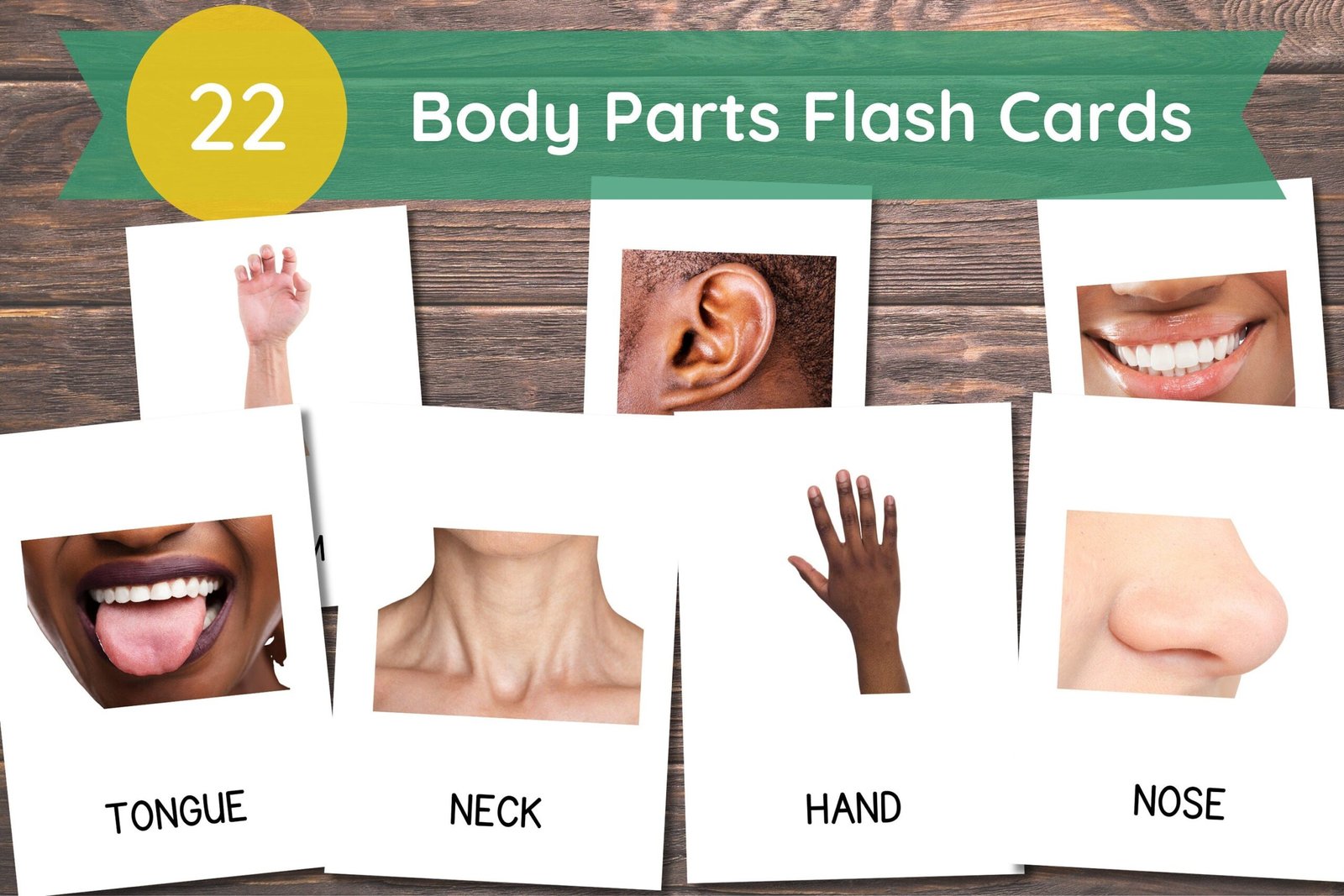 22 Body Parts Cards, Montessori flashcards, Pre-School Cards, Toddler Flash Cards, Body Parts Flashcards, Homeschool Montessori Materials