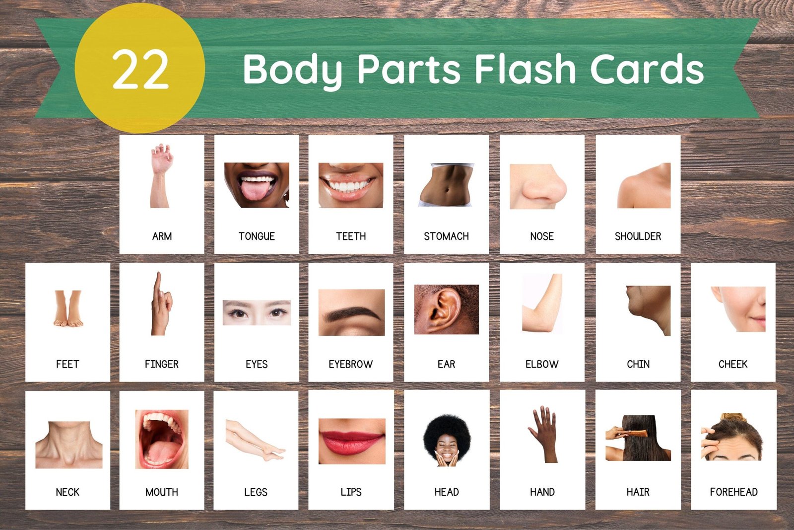 22 Body Parts Cards, Montessori flashcards, Pre-School Cards, Toddler Flash Cards, Body Parts Flashcards, Homeschool Montessori Materials - Image 2