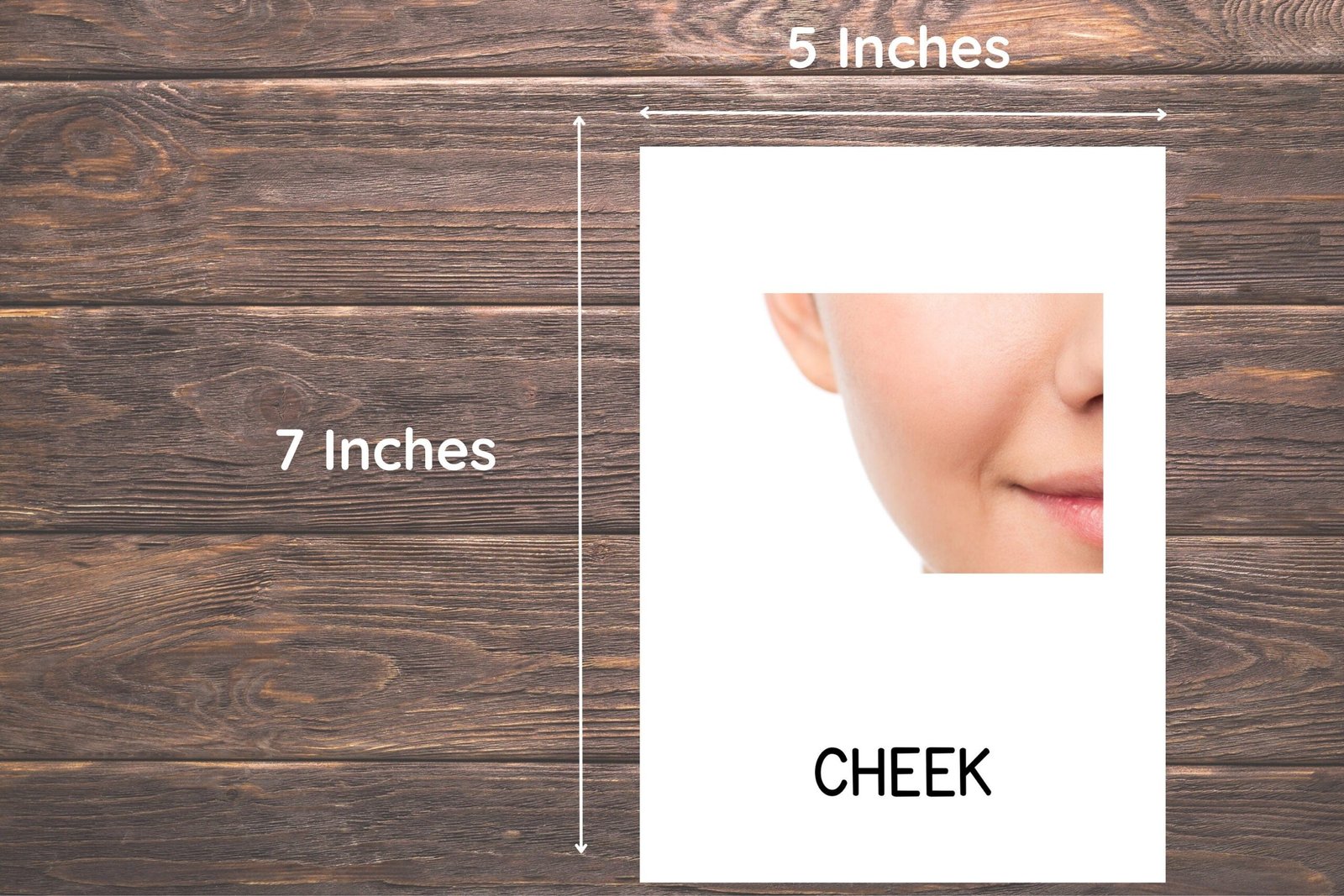 22 Body Parts Cards, Montessori flashcards, Pre-School Cards, Toddler Flash Cards, Body Parts Flashcards, Homeschool Montessori Materials - Image 4