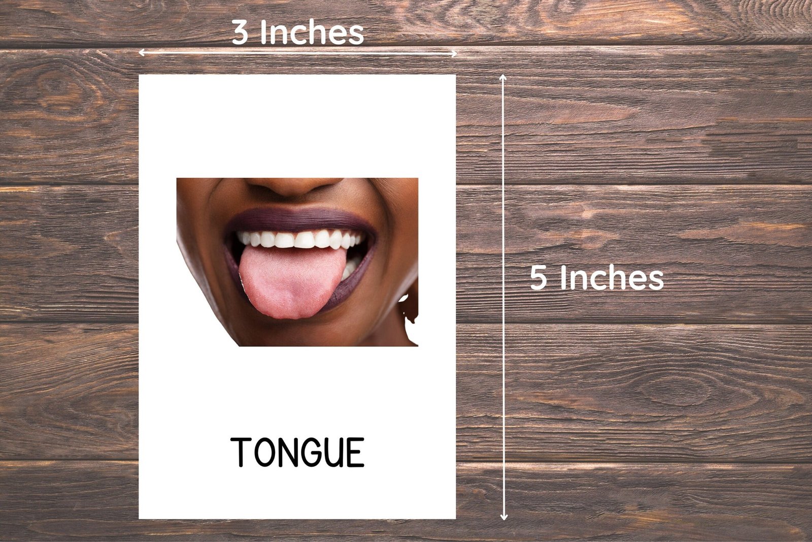 22 Body Parts Cards, Montessori flashcards, Pre-School Cards, Toddler Flash Cards, Body Parts Flashcards, Homeschool Montessori Materials - Image 3