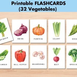 Vegetable Flashcards, Printable Vocabulary Cards, Homeschool activities, Kindergarten Pre-k activity, Learn Garden Plants, Digital Download