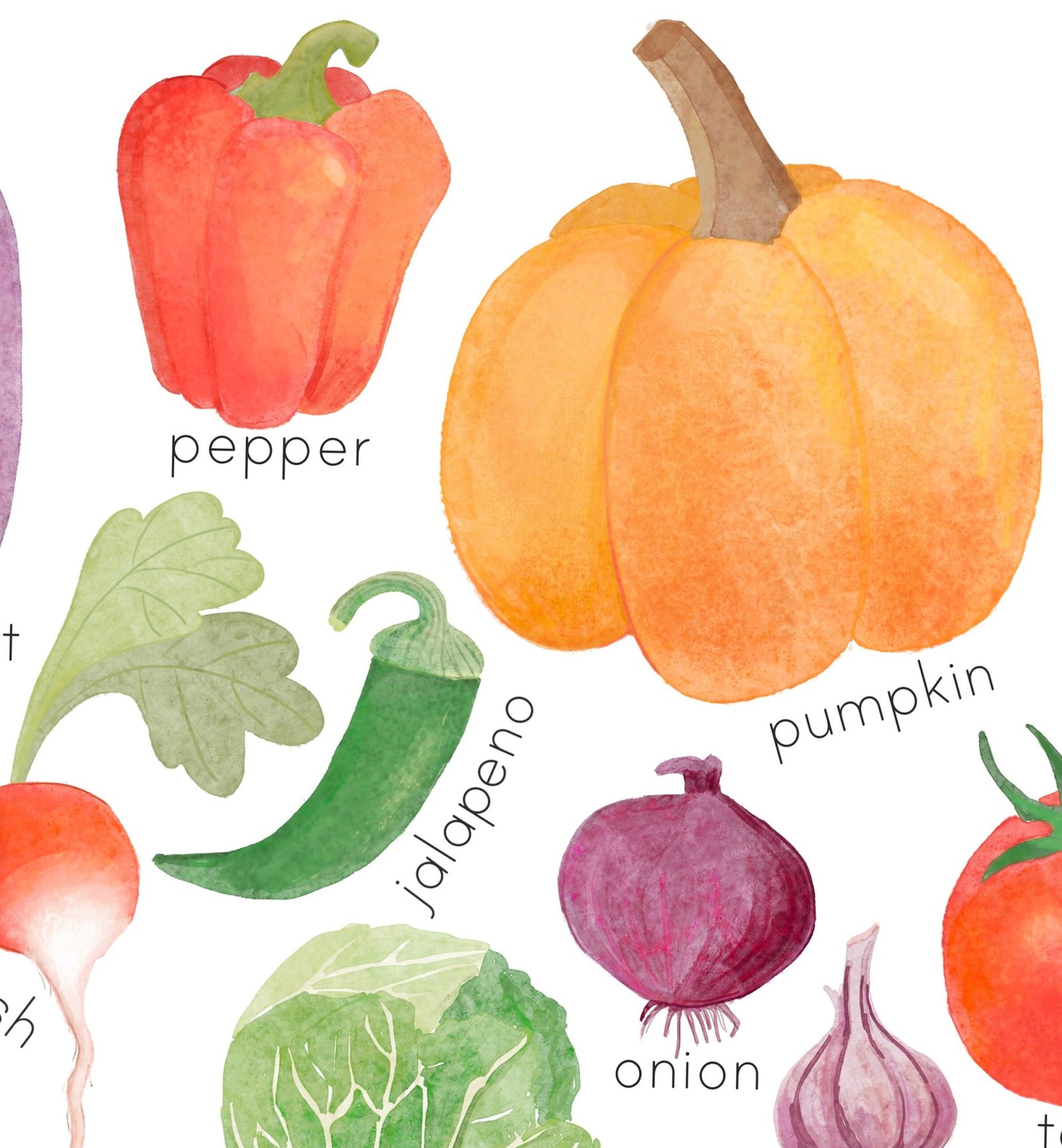 Watercolor Vegetables Poster Homeschool Educational Posters for Toddler Montessori Playroom Wall Art Downloadable Prints Preschool Learning - Image 5