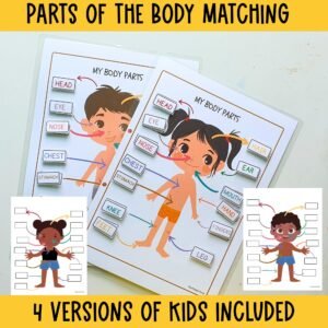 Busy binder activity|Body parts|homeschool curriculum|Preschool Worksheet|Busy Book Ideas|2 year old|file folder game