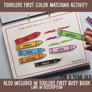Color Matching Activity, Montessori materials, busy binder activity, color sorting, preschool curriculum, Home school activity,learn colors