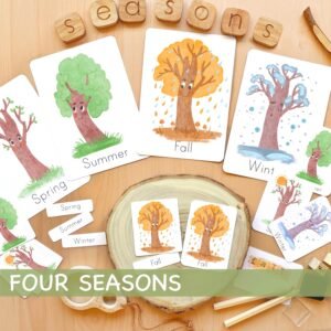 Seasons Flash Cards Montessori Educational Materials Homeschool Printable Watercolor Flashcards Nature Study Toddler Flash Cards