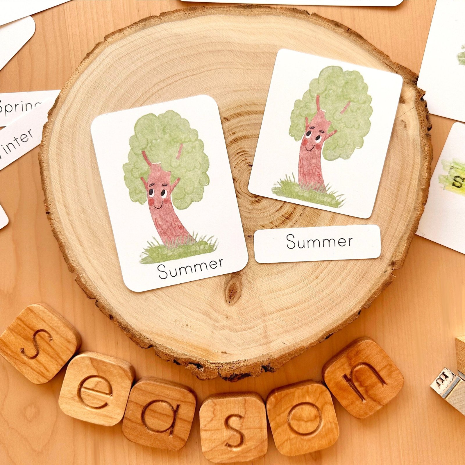 Seasons Flash Cards Montessori Educational Materials Homeschool Printable Watercolor Flashcards Nature Study Toddler Flash Cards - Image 5