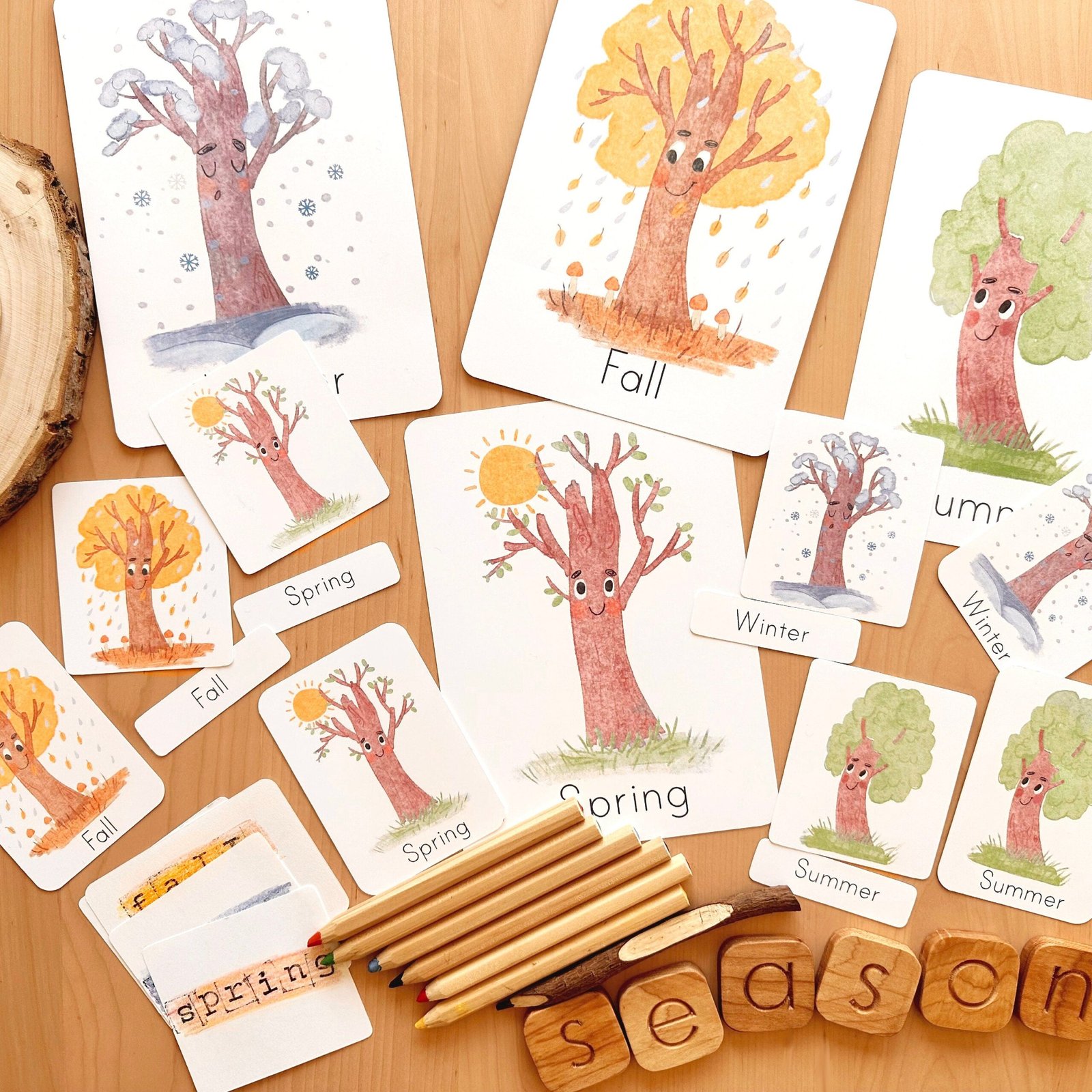 Seasons Flash Cards Montessori Educational Materials Homeschool Printable Watercolor Flashcards Nature Study Toddler Flash Cards - Image 2