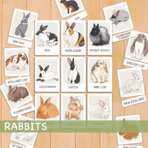 Rabbit Flash Cards Montessori Printable Homeschool Resources Nature Study Nomenclature Cards Toddler Flash Cards Preschool 3 Part Cards