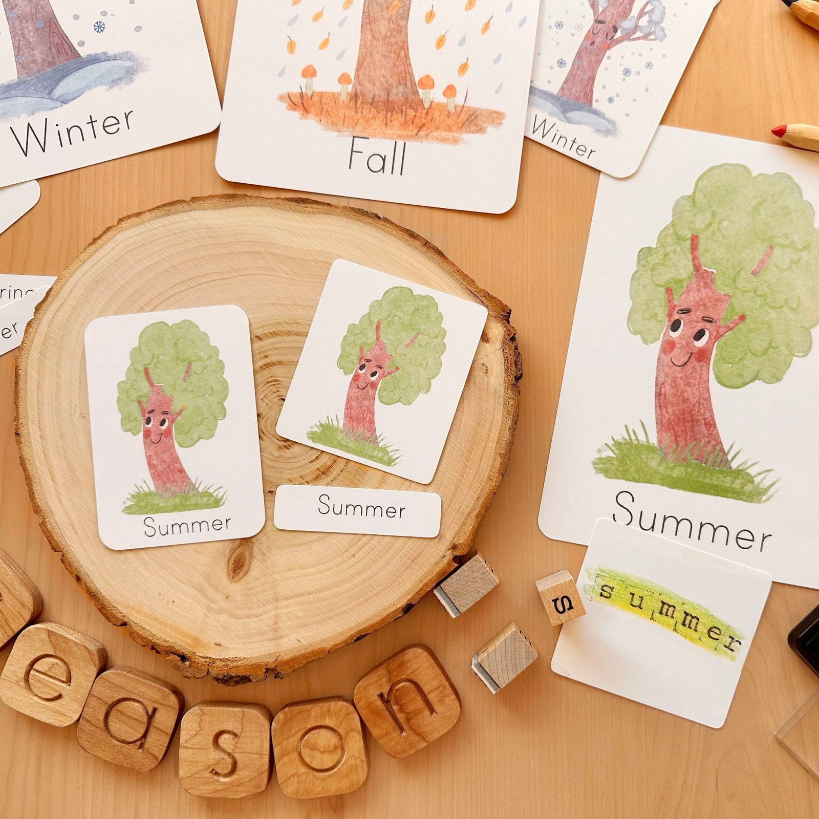 Seasons Flash Cards Montessori Educational Materials Homeschool Printable Watercolor Flashcards Nature Study Toddler Flash Cards - Image 3