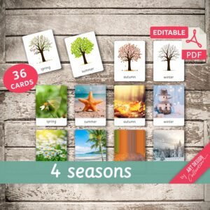 4 SEASONS • 36 Editable Montessori Cards • Flash Cards Nomenclature Cards Editable Toys Pdf preschool Cards Spring Summer Autumn Winter