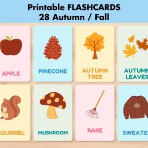 28 Autumn Flashcards, Fall Vocabulary Nature Cards, Printable Montessori Flash Cards, Pre-School Autumn Activity,Educational Back to School