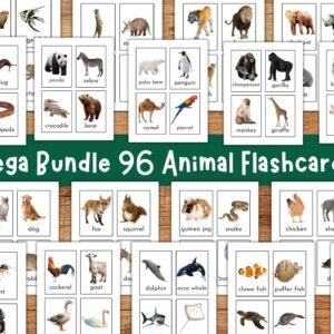 Animal Flash Cards, Pet Farm Animal Flashcards, Zoo Jungle Animals, Sea Creatures, Bugs Insects, Educational Printable, Toddler Flashcards